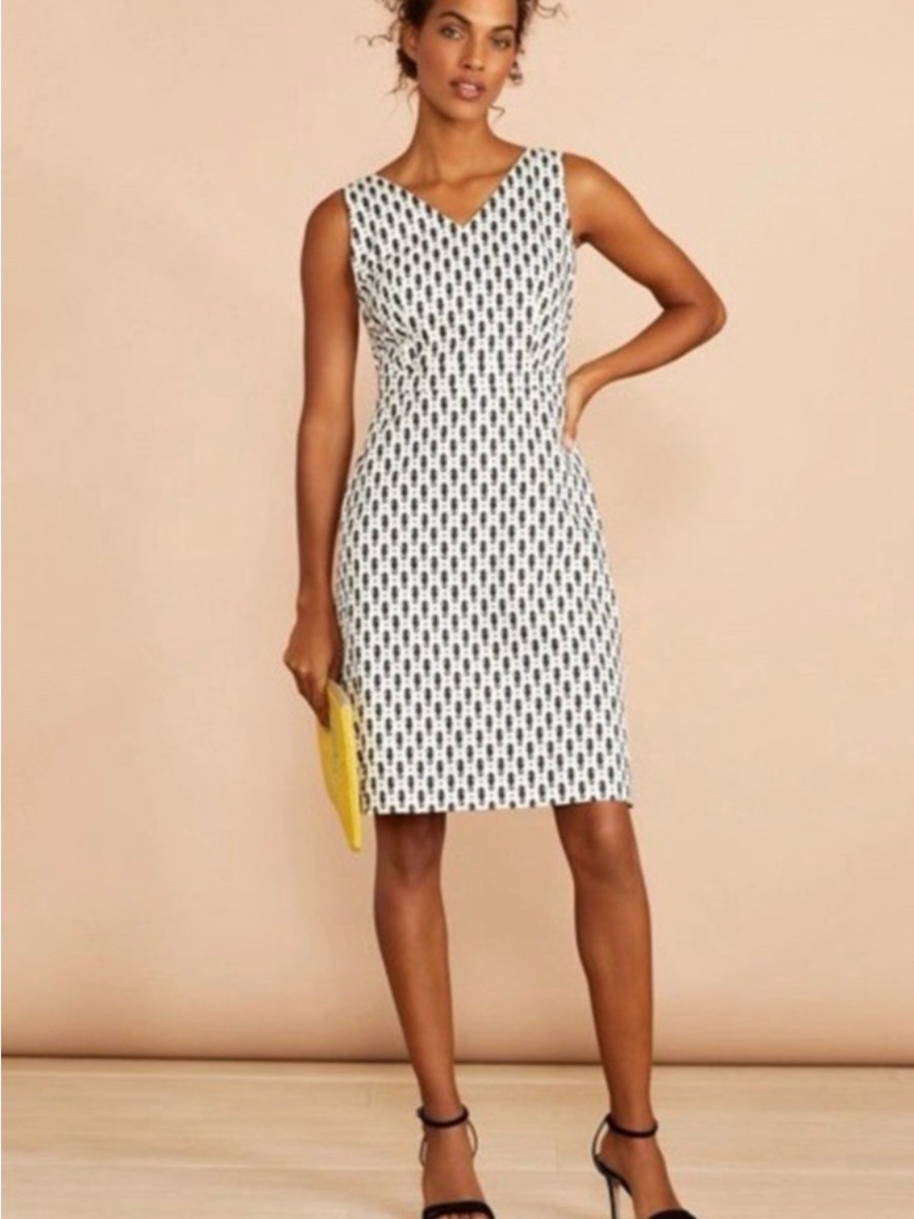NWT Brooks Brothers Sleeveless Seahorse Print Sheath Dress Size 6